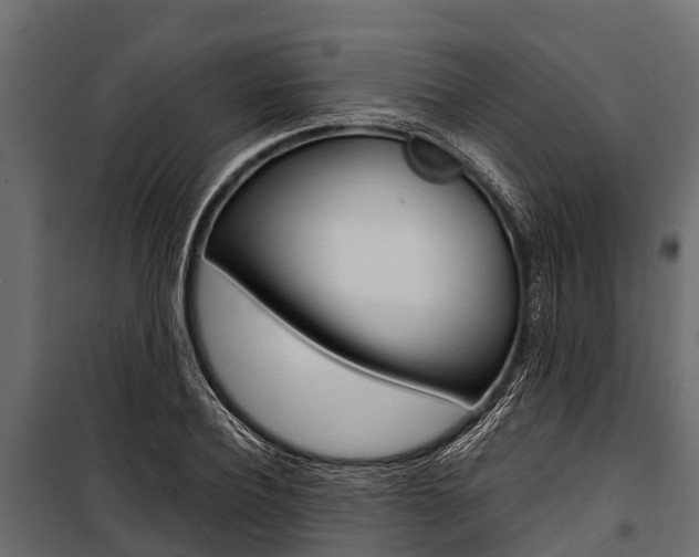 X0000100940932200806241159