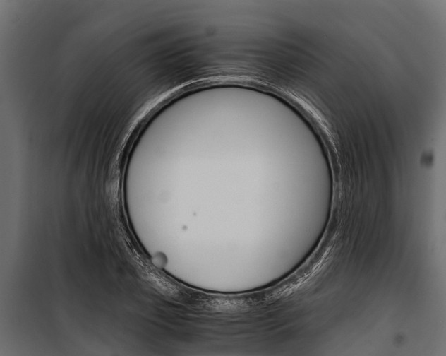 X0000100940933200806241159
