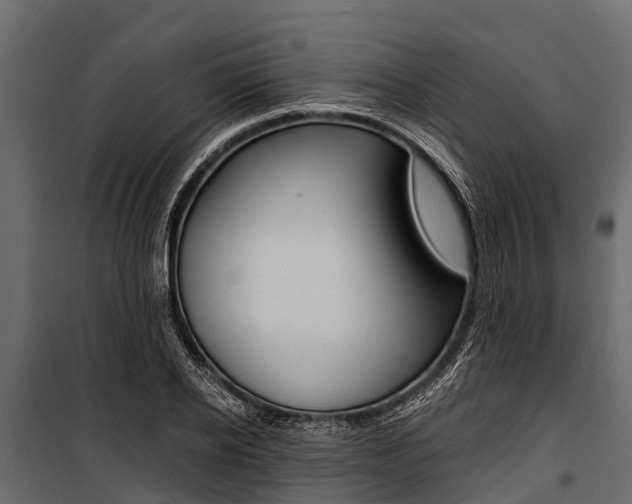 X0000100940934200806241159