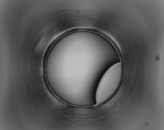 X0000100940935200806241159