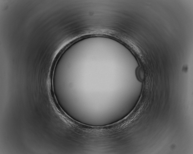 X0000100940936200806241159
