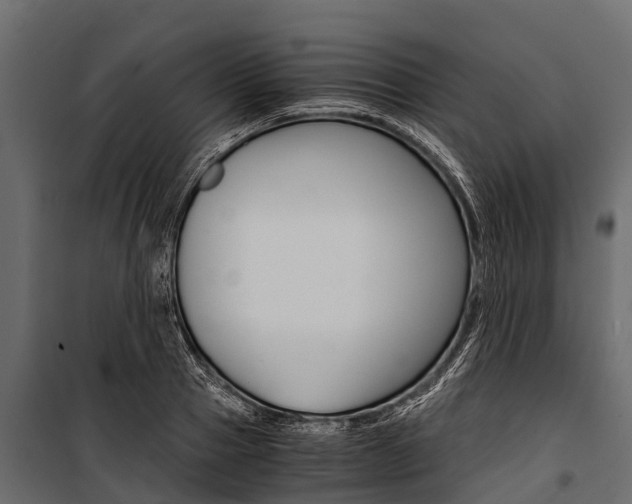 X0000100940937200806241159