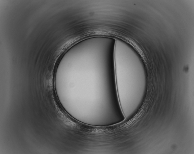X0000100940938200806241159
