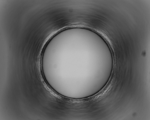 X0000100940941200806241159