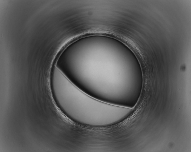 X0000100940942200806241159