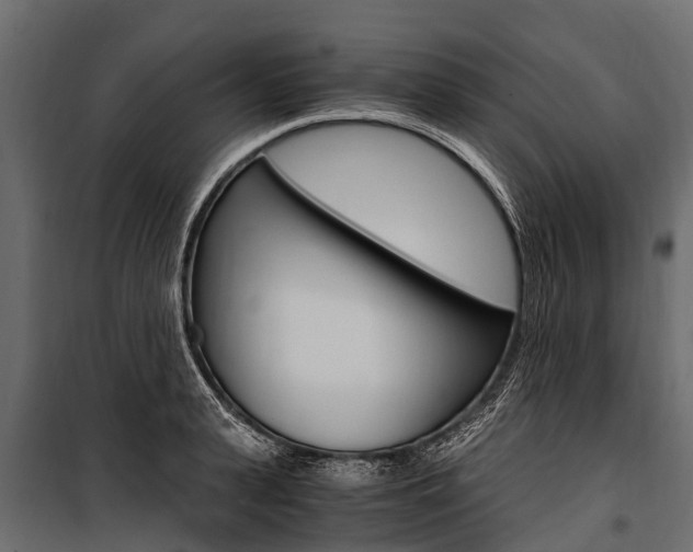 X0000100940943200806241159
