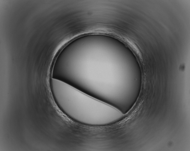 X0000100940944200806241159