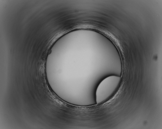 X0000100940945200806241159