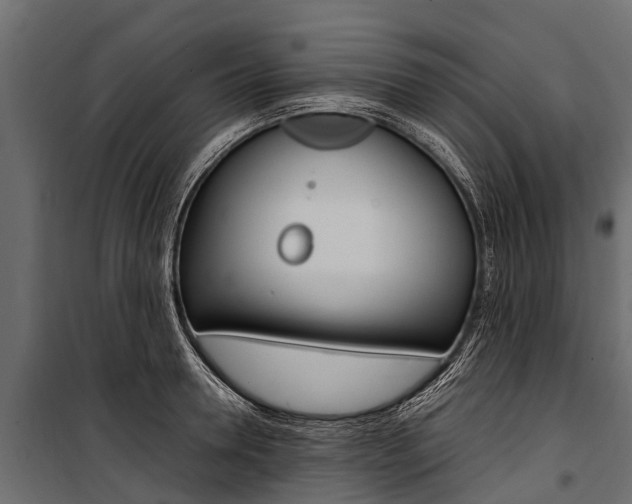 X0000100940946200806241159