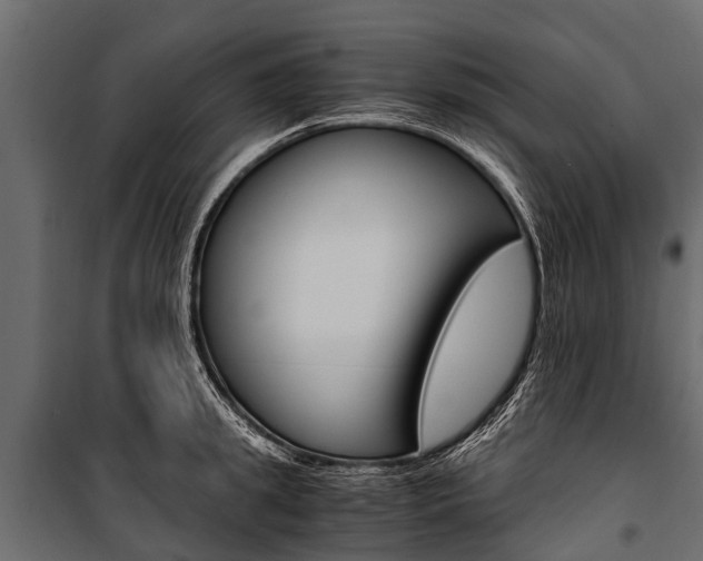 X0000100940949200806241159