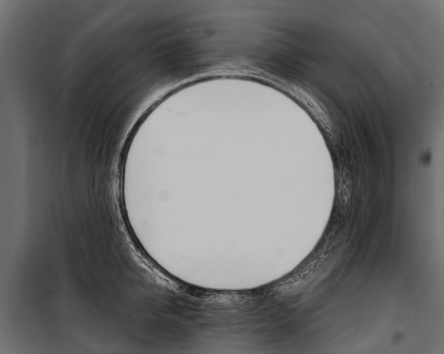 X0000100940950200806241159