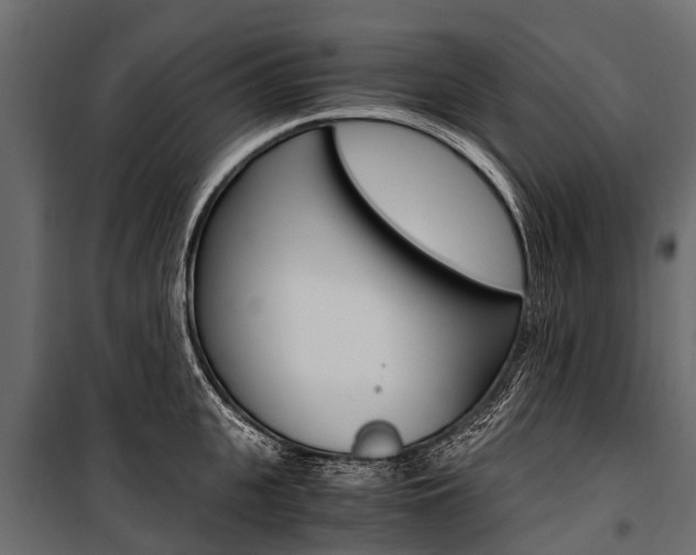 X0000100940951200806241159