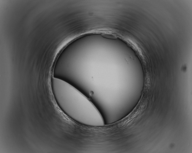 X0000100940952200806241159