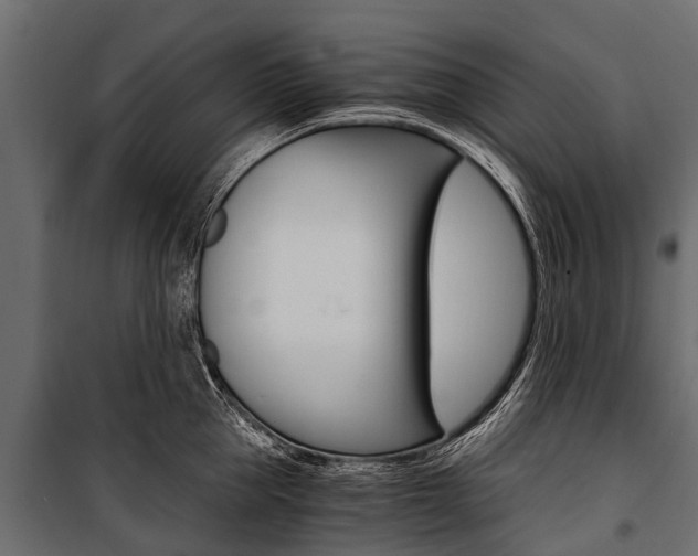 X0000100940953200806241159