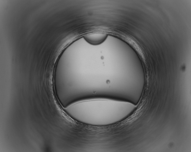 X0000100940954200806241159