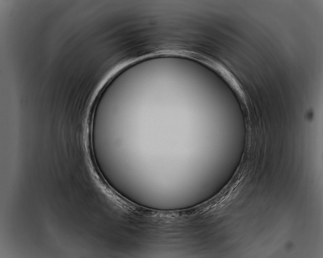 X0000100940955200806241159