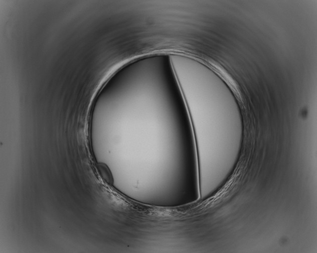 X0000100940956200806241159