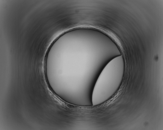 X0000100940958200806241159