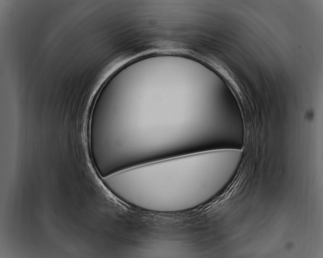 X0000100940959200806241159