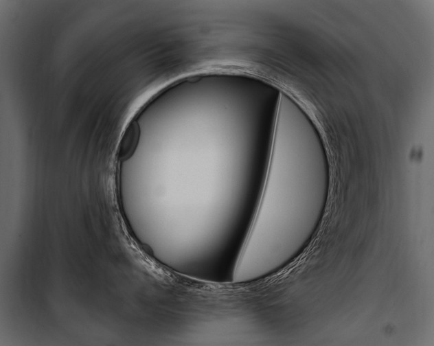 X0000100940960200806241159