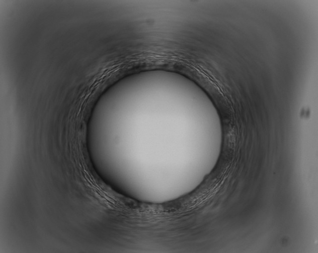 X0000100940961200806241158