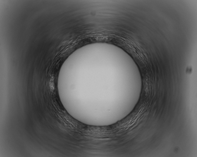 X0000100940962200806241158