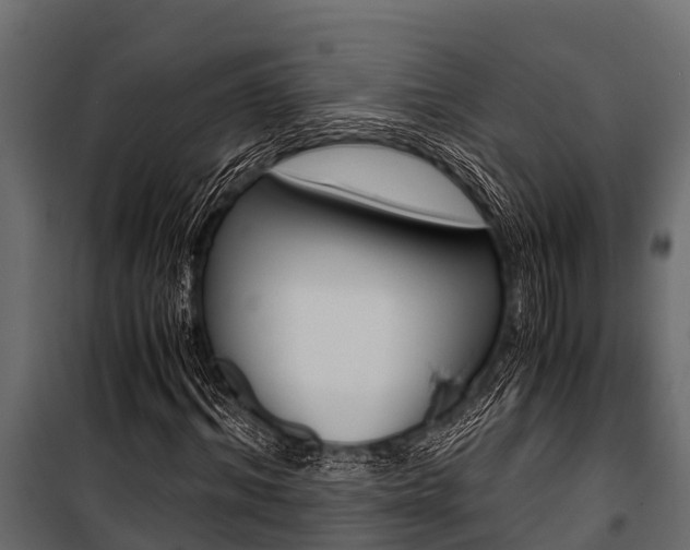 X0000100940964200806241158