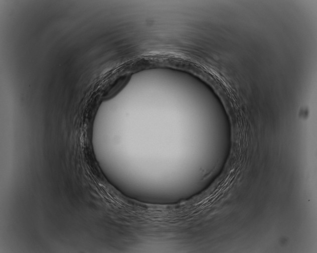 X0000100940965200806241158