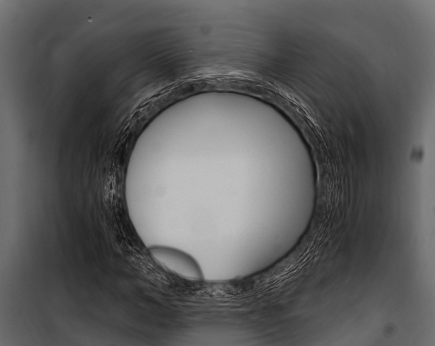 X0000100940966200806241158