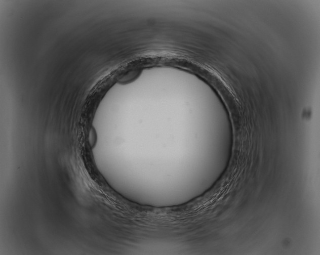 X0000100940967200806241158