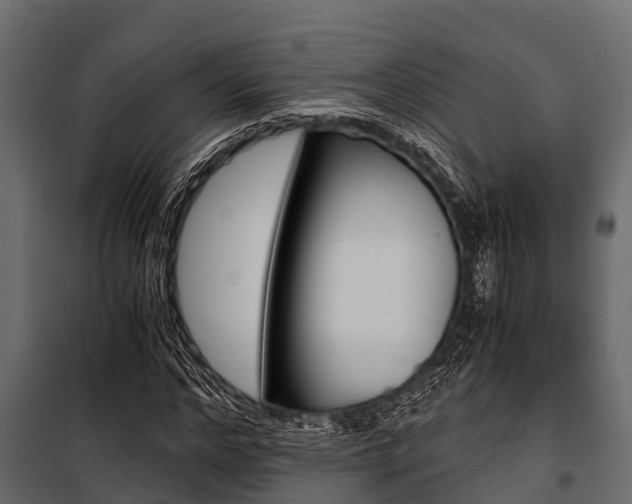X0000100940968200806241158