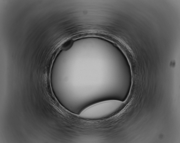 X0000100940969200806241158