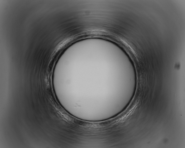 X0000100940970200806241158