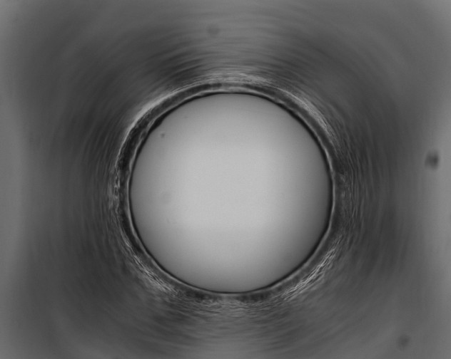 X0000100940971200806241158