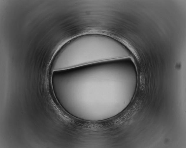 X0000100940972200806241158