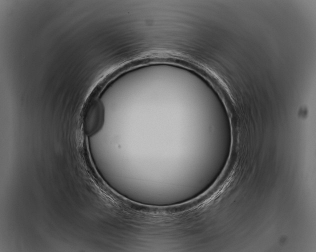 X0000100940973200806241158
