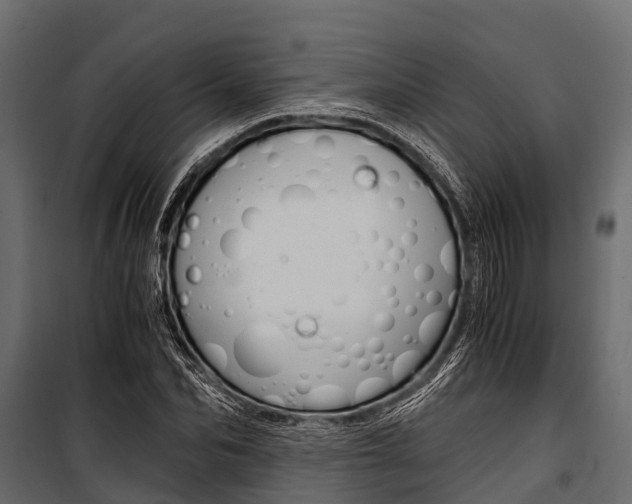X0000100940974200806241158