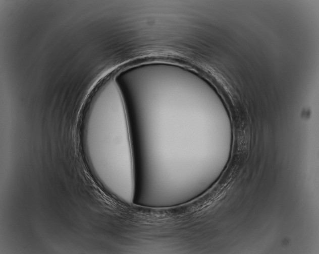 X0000100940975200806241158