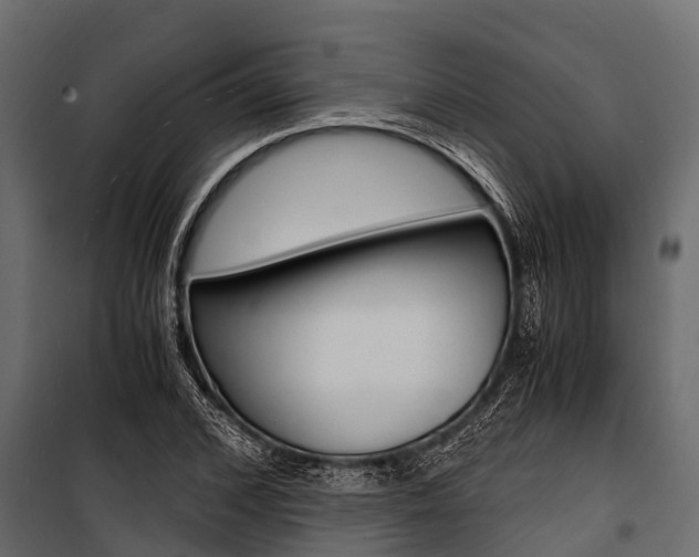 X0000100940976200806241158