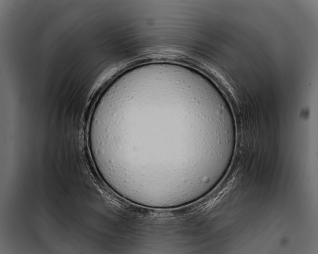 X0000100940978200806241158