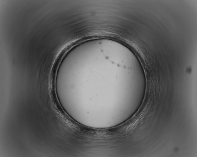 X0000100940979200806241158