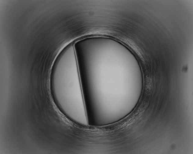 X0000100940980200806241158