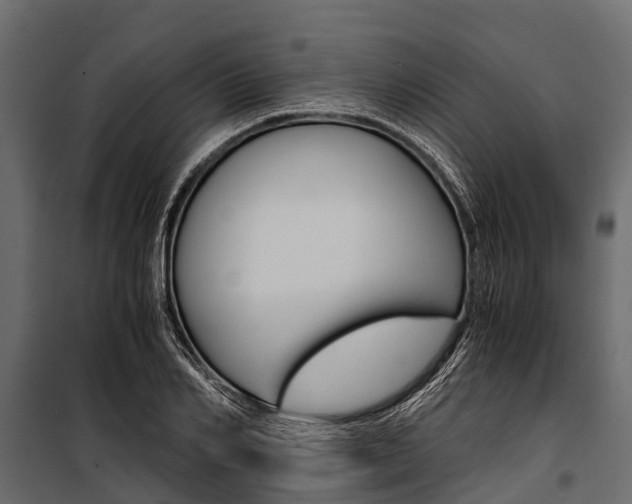 X0000100940982200806241158