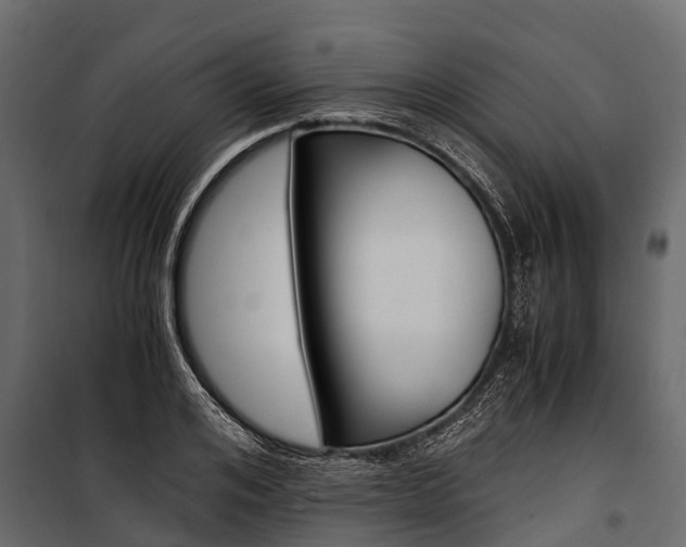 X0000100940984200806241158