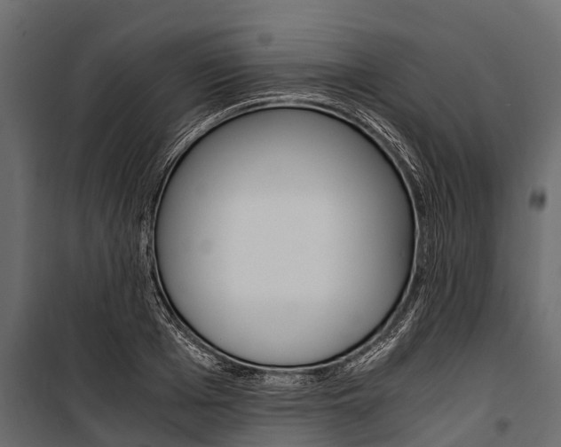 X0000100940985200806241158