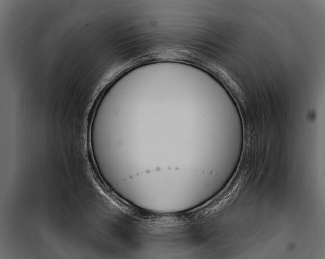 X0000100940986200806241158