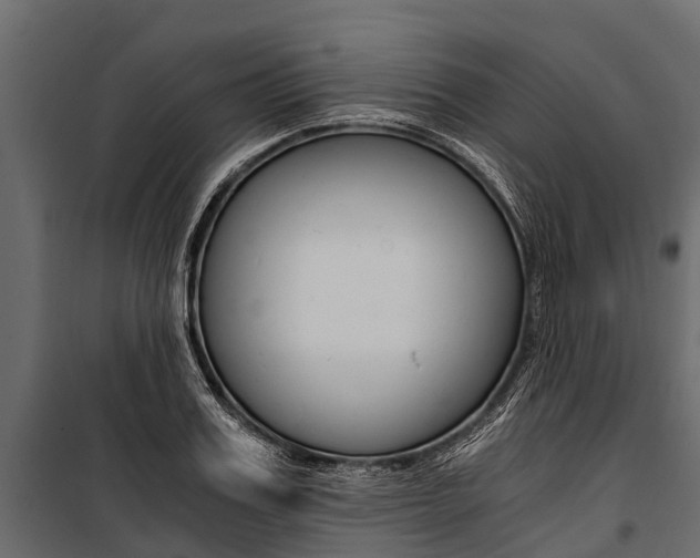 X0000100940987200806241158