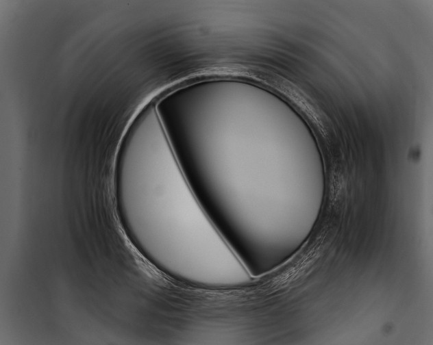 X0000100940988200806241158
