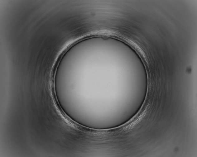 X0000100940989200806241158