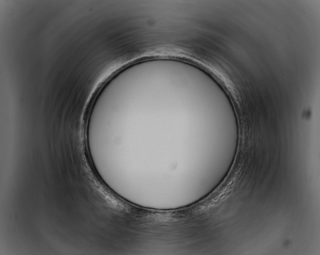 X0000100940990200806241158
